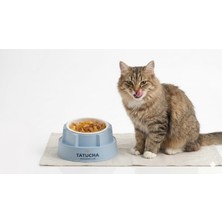 Frefly Store Tatucha Ergonomik Eğimli Köpek Mama Kabı, Mavi, Küçük Irk Köpekler ve Kediler Için