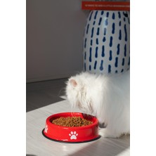 Frefly Store Emaye Kedi Köpek Mama ve Su Kabı Pati Desen,flame