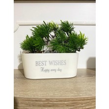 Frefly Store Dekoratif Yapay Bonsai Ağacı - Taşlı ve "best Wishes" Yazılı Gri Oval Saksıda Mini Çam Ağacı, Ev, Ofis, Çalışma Masası Hediyelik Yapay Bitki (Beyaz)
