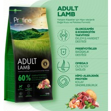 Frefly Store Profine 12KG Gluten Free Adult Lamb Glutensiz Kuzu Etli Yetişkin Köpek Maması