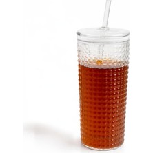 Frefly Store Meturas Desenli Borosilikat Pipetli Cam Bardak, 550 Ml, Kapaklı ve Pipetli, Soğuk Içecekler Için Kupa Mug