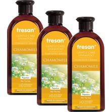 Frefly Store Zencefil Organik 3 Kutu Tresan Papatya Yumuşatıcı Bakım Şampuanı 300 ml Papatyalı Şampuan