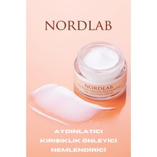 Frefly Store Nordlab Aydınlatıcı ve Kırışıklık Karşıtı Göz Çevresi Bakım Kremi