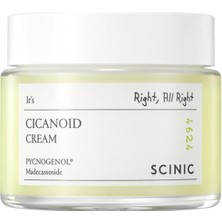 Frefly Store Scinic Cicanoid Cream Cica & Panthenol ve Centella Içeren Yatıştırıcı Nemlendirici Krem