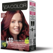 Frefly Store Sea Color 4.6 Kestane Kızılı Set Boya