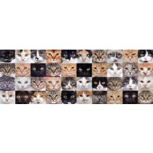 Frefly Store Nova Puzzle 1000 Parça Sevimli Kediler Kolajı Panorama Puzzle
