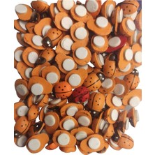 Frefly Store Esmay Yapışkanlı Uğur Böceği 12 mm 100ADET GNSRKFAZ2884