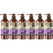 Frefly Store Eyüp Sabri Tuncer Doğal Argan Yağlı El ve Vücut Losyonu 250 ml x 6 Adet