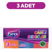 Frefly Store Parex Canlı Renkler 3'lü Sünger Oluklu Üçlü Paket