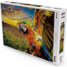 Frefly Store Nova Puzzle 1000 Parça Macav Amerikan Papağanı Puzzle