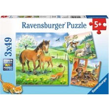 Frefly Store Ravensburger 3×49 Parça “sarılma Zamanı” Puzzle