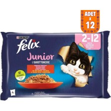Felix Multipack Junior Sığır Etli ve Tavuklu Yavru Kedi Yaş Maması 4X85 gr 12 Adet