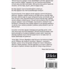Vintessy Tellekt Can Sanat Yayınları'ndan Anne Ağaç - Suzanne Simard, Ormanın Bilgeliğinin Keşfi, Türk�