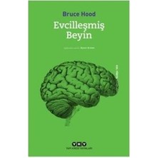 Vintessy Evcilleşmiş Beyin: Zihin ve Davranış Üzerine Araştırmalar