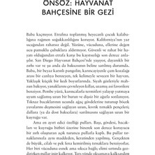 Vintessy Mikrobiyota Içindeki Mikroplar: Sağlık Üzerine Bilimsel Bakış