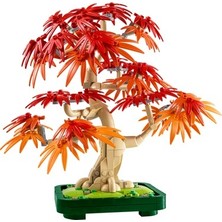 Vintessy Japon Akçaağaç Bonsai Bitkisi - Yetişkin Bitki Severler Için