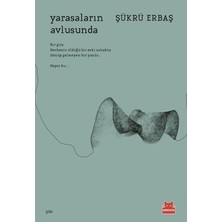 Vintessy Yarasaların Avlusunda - Edebiyat Romanı, Sıradışı Bir Hikaye
