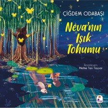 Vintessy Işık Tohumu: Eğlenceli Hikaye ile Büyüme Deneyimi