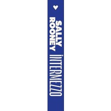 Vintessy Sally Rooney'nin Anlam Arayışı Üzerine Intermezzo