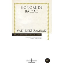 Lisinya Vadideki Zambak - Hasan Ali Yücel Klasikleri