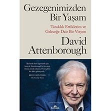 Vintessy Gezegenimiz ve Hayat Mücadelesi Üzerine Kapsamlı Bir Çalışma