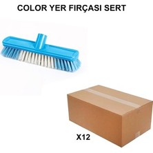 Vintessy Sert Yer Fırçası 12 Adet Color Fırça