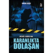 Vintessy Sırlar Serisi 3 - Karanlıkta Dolaşan Gizem