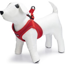 Beeztees Köpek Göğüs Tasması, Neopren, Kırmızı, Xs, 30-35CM
