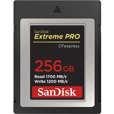 1001 Extreme Pro Cfexpress Hafıza Kartı Tip B 256 GB (1.700 Mb/s Okuma, 1.200 Mb/s Yazma, Rescuepro Del