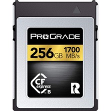 1001 256GB Cfexpress Tip B Hafıza Kartı (Altın)