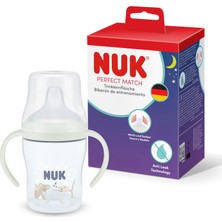 1001 Pm Gece Eğitici Alıştırma BARDAĞI,150 Ml,koala