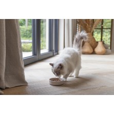 Designed by Lotte Kedi Mama Su Kabı, Bambu, Bej 12CM, 250ML