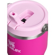 Skygo Revify The Iceflow Flip Straw Pembe Termos (10-13425-046)