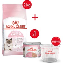 Royal Canin Mother&babycat - Kuru Kedi Maması 2 kg + Yaş Mama 195 gr + Ölçü K