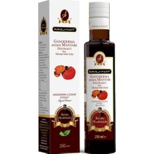 İmmunat Reishi Mantarı Ekstraktı 250 ml İmmu-Nat