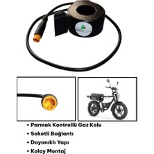 Ape Ryder Jambo Pro Gaz Kolu