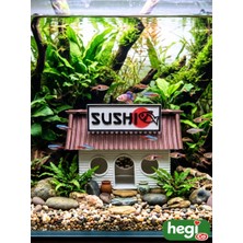 HegiCo Akvaryum Dekoru- Sushi Restaurant Evi-Komik Akvaryum Içi Dekor Organik Plastik