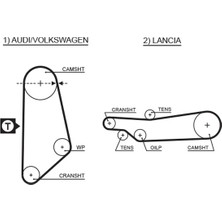 Triger Kayişi Audi Coupe B2 (81, 855, 856) 2.0 1980-1988 Gates Gat 5031