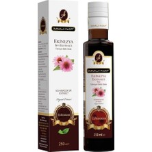 İmmunat Ekinezya Ekstraktı 250 ml İmmu-Nat