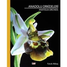 Say Anadolu Orkideleri