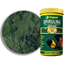 Tropical %36 Spirulina Super Forte 100 Gram Yüksek Kalite Akvaryum Balıkları İçin Beslenme