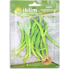 Hobibahçem Tohum Biber Kıl Sivri Acı 5gr