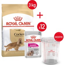 Royal Canin Cocker Kuru Köpek Maması + Exıgent 12*85 Yaş Mama+ Saklama Kabı
