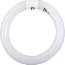 CANLIGHT Simit Floresan Ampul 22W Yuvarlak Tüp G10q 4 Pinli Mutfak ve Banyo Armatürü İçin