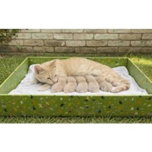 Rass Kedi Evi Açık Yuva_genişlik 50CM Uzunluk 80CM Derinlik 12CM