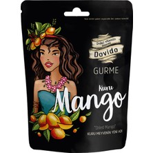 Foodry Freeze-Dry Dondurularak Kurutulmuş Mango 17 G