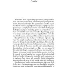 Vintessy Alice'in Renklerden Moru, Görsel Bir Deneyim