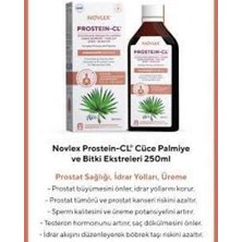 Novlex Prostein-Cl® Cüce Palmiye ve Bitki Ekstreleri 250 ml Türkiye Menşeli Sıvı Takviye Edici Gıda