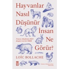 Vintessy Hayvanların Düşünce Dünyası ve Insan Algısı Üzerine