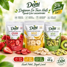 Dondurularak Kurutulmuş Meyve 3'lü